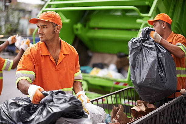Yard Cleanup Services in Greensboro, AL